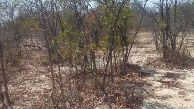 Farm for Sale inGokwe