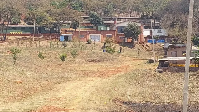 Farm for Sale