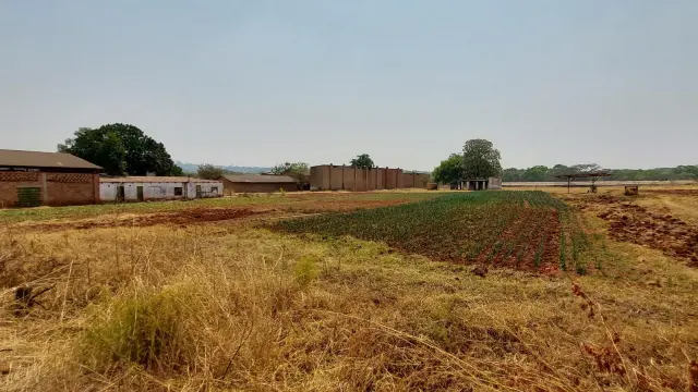 Farm to Rent
