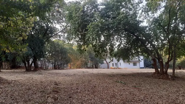 Residential Stand for Sale