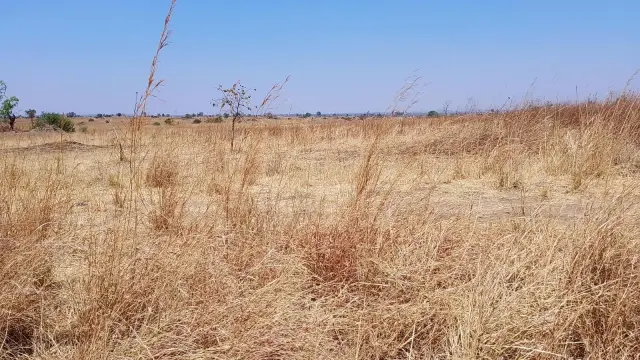 Farm for Sale inMazowe