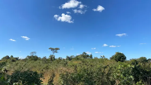 Farm for Sale inRuwa