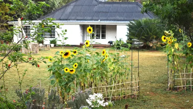 2 Bedroom House to Rent in Highlands