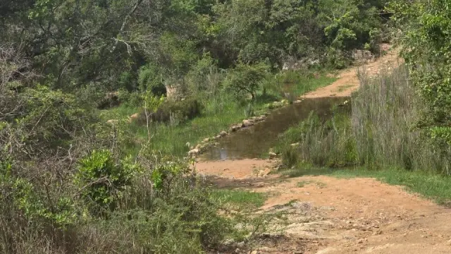 Land for Sale inNyanga