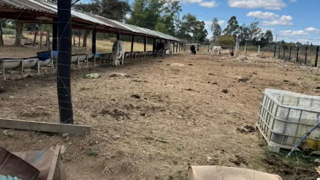 Farm for Sale