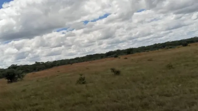Farm for Sale inMvuma