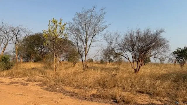 Farm for Sale inHurungwe