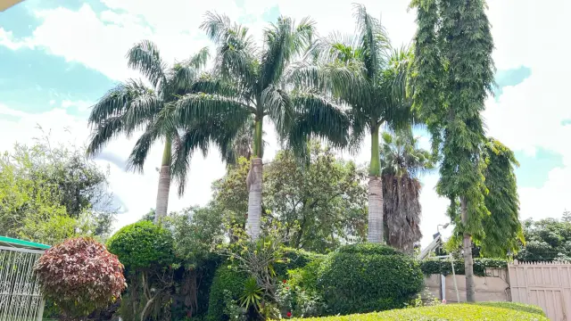 Commercial Property to Rent in Belvedere