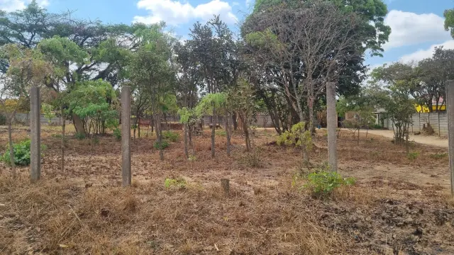 Stand for Sale inParadise Park