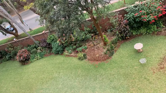 Flat/Apartment to Rent