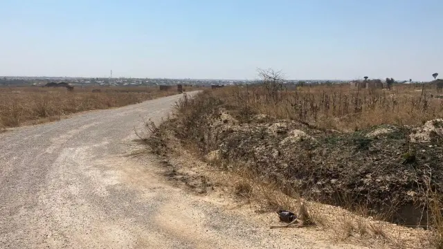 Land for Sale inSouthlea Park