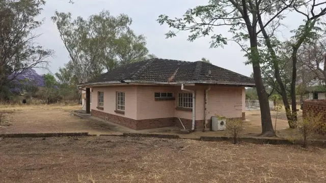 Stand for Sale