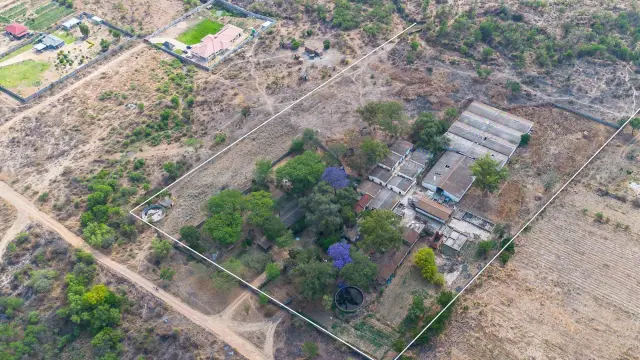 Farm for Sale