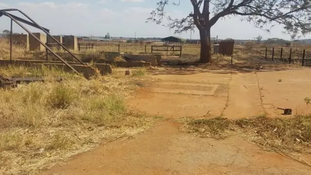 Farm for Sale