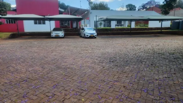 Commercial Property to Rent in Newlands