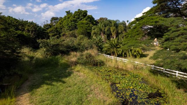 Borrowdale Residential Stands