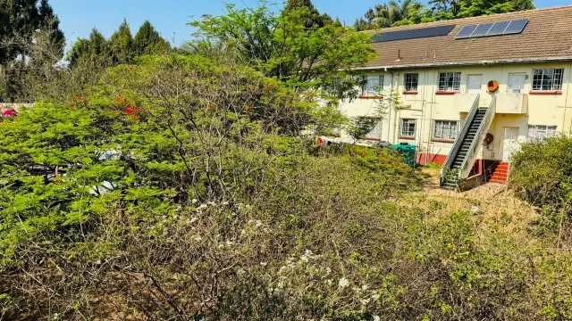 Flat/Apartment to Rent