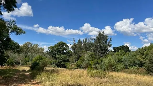 Land for Sale