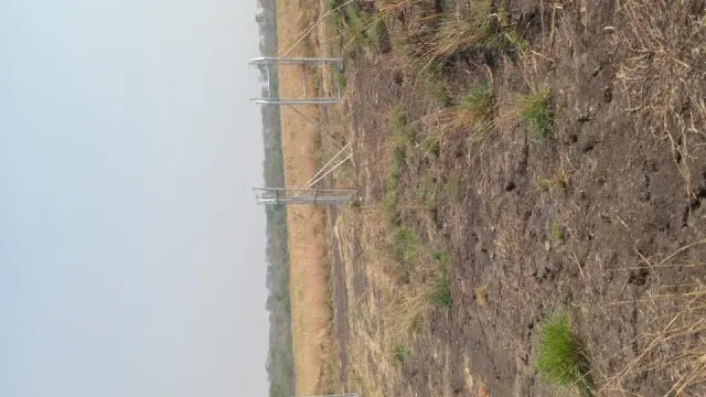 Farm for Sale inSelous