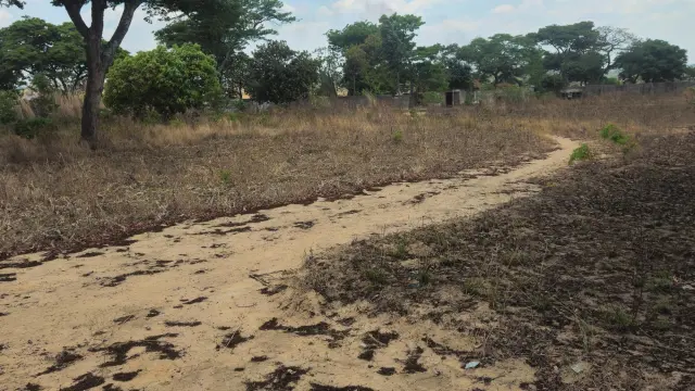 Industrial Stand for Sale