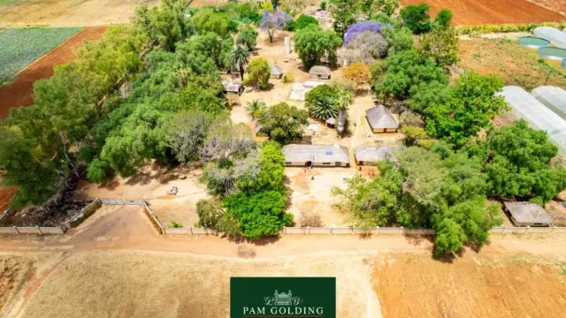 Farm for Sale