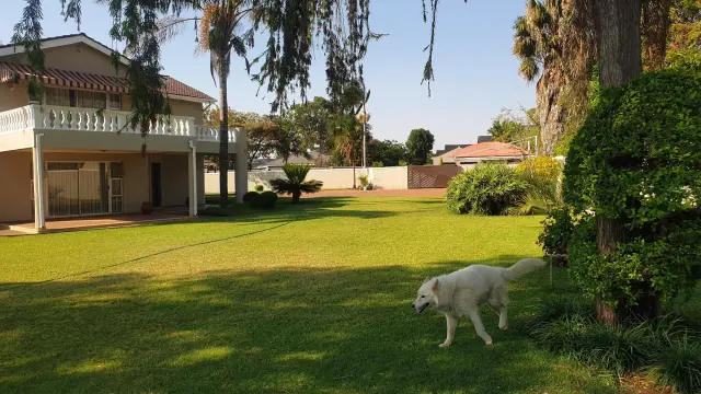House to Rent