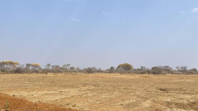Stand for Sale in Woodville