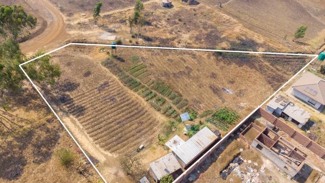 Stand for Sale in Goodhope
