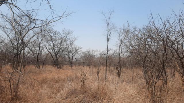 Stand for Sale in Chinhoyi