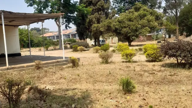 Stand for Sale
