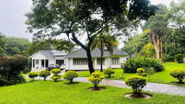 House to Rent