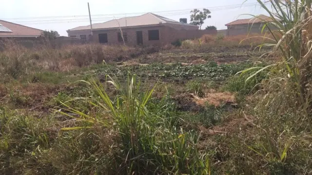 Land for Sale inDamofalls