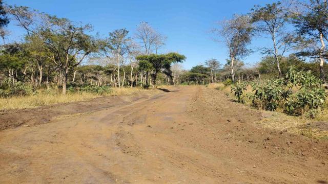 Stand for Sale in Glen Lorne