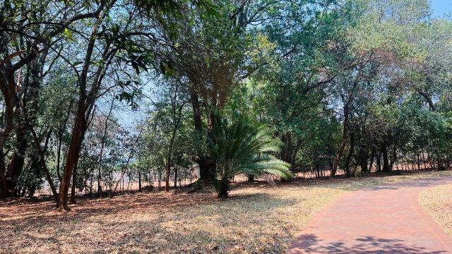 Stand for Sale in Helensvale