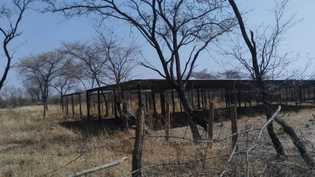 Farm for Sale