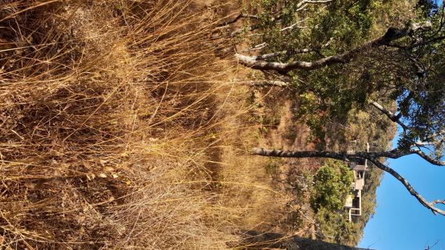 Stand for Sale in Glen Lorne