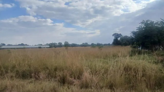 Farm for Sale
