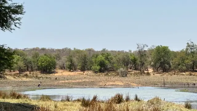 Farm for Sale