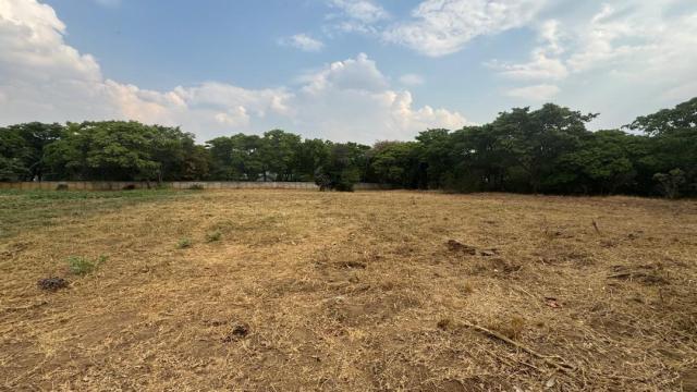 Stand for Sale in Chisipite