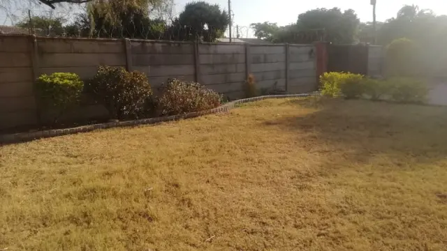 House to Rent