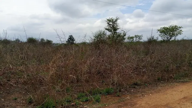 Residential Stand for Sale