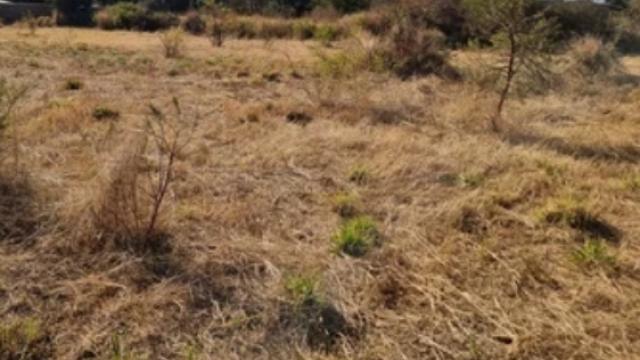 Stand for Sale in Buena Vista