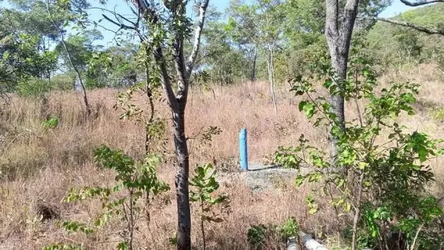 Farm for Sale