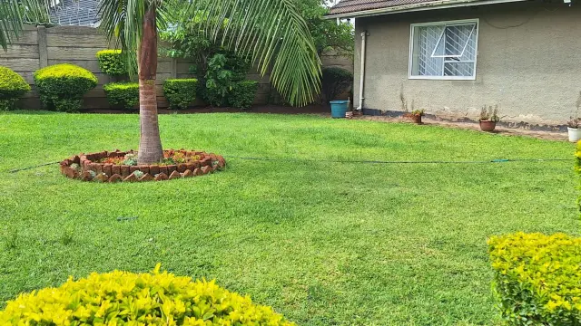 House to Rent
