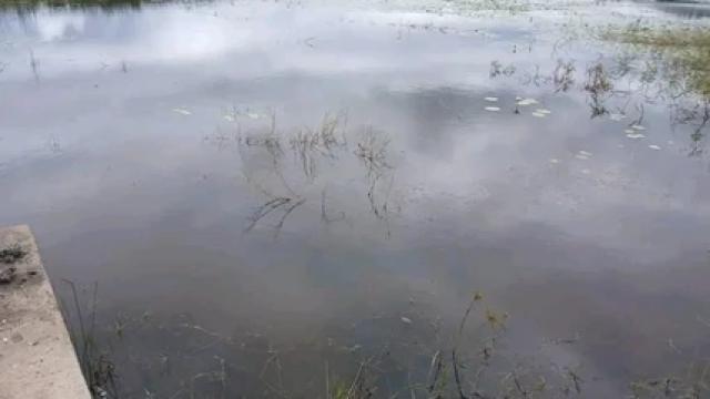 Stand for Sale in Kadoma
