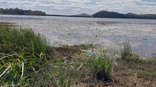 Stand for Sale in Mazowe