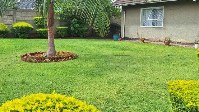 House to Rent