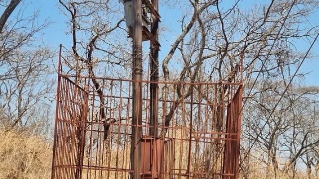 Stand for Sale in Glen Forest