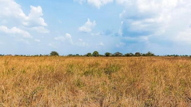 Stand for Sale in Chegutu