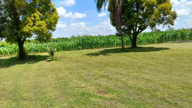 Cottage/Garden Flat to Rent